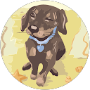 Deyan Piyan profile picture